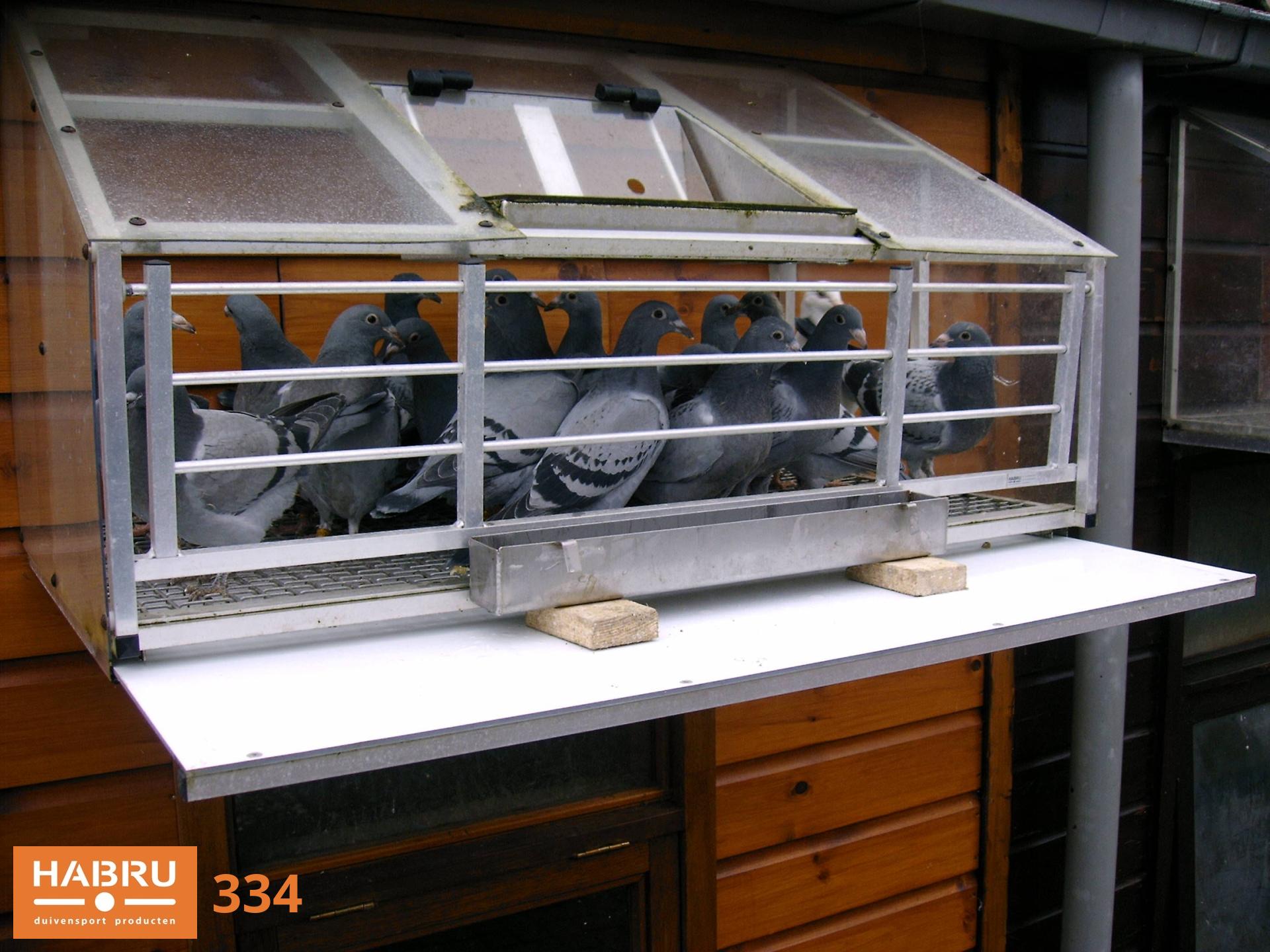 Foto 334: Afbeelding 137.jpg