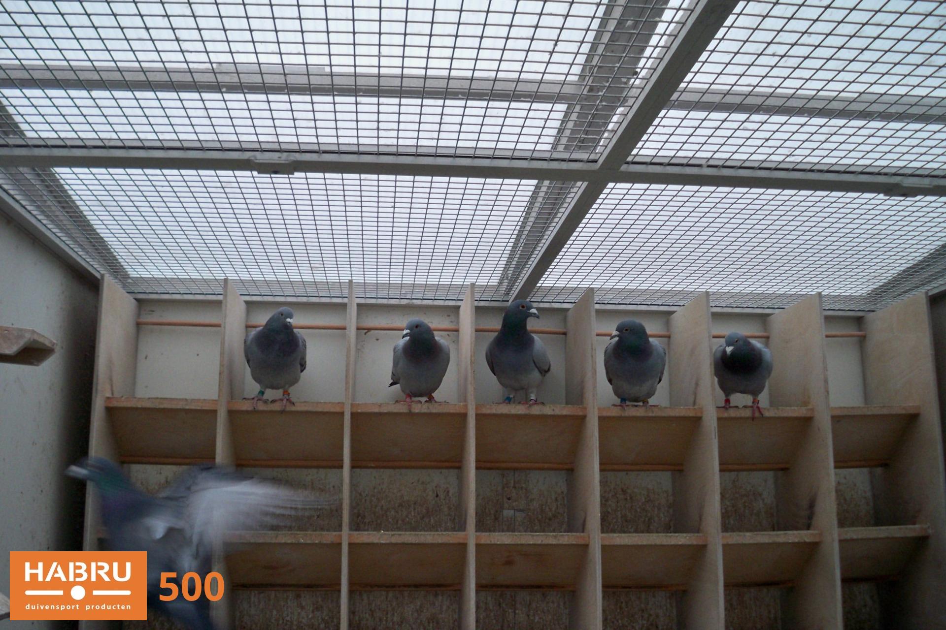 Foto 500: 100_0791.jpg