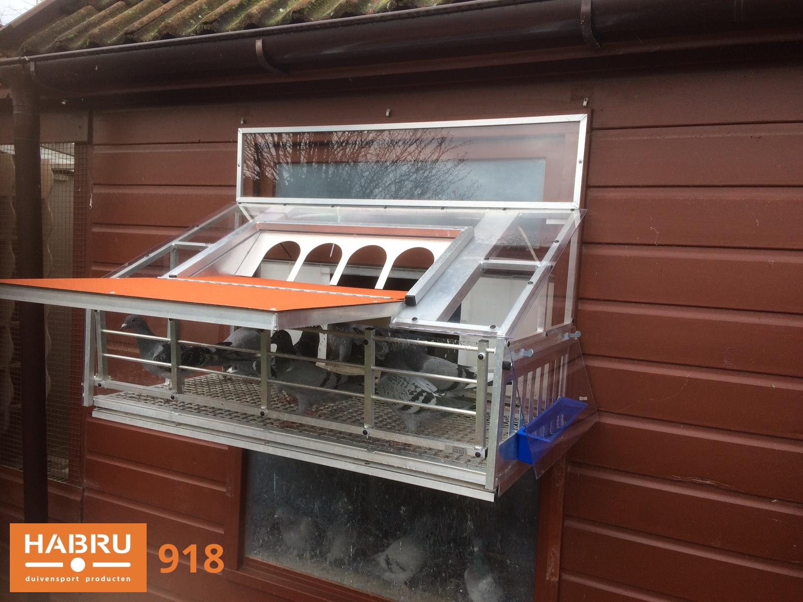 Foto 918: Ralf Folkerts