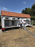 Kampioenen